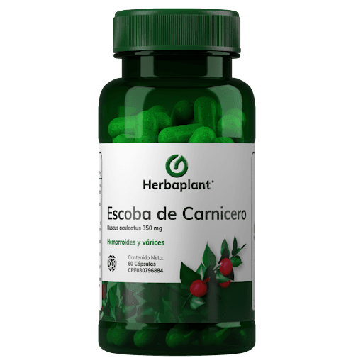 Foto de Escoba de carnicero 350 mg x 60 caps herbaplant